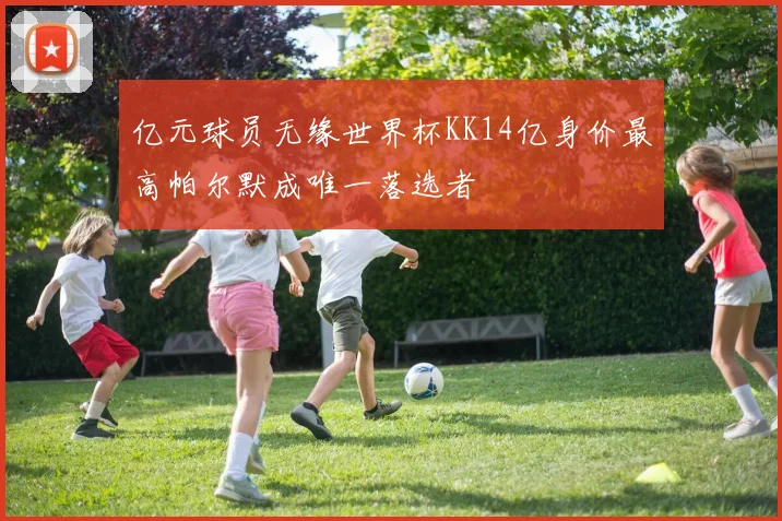 亿元球员无缘世界杯KK14亿身价最高帕尔默成唯一落选者