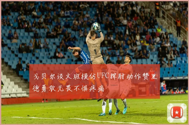 戈贝尔谈文班模仿UFC挥肘动作赞里德勇敢无畏不惧疼痛